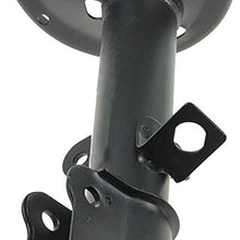 Rear Strut/Shock Assembly Passenger Side Right RH for 93-02 Toyota Corolla Prizm