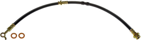 Dorman H620532 Hydraulic Brake Hose