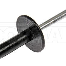 Dorman 963-205D GM Blind Rivet Retainer - Diameter 3/16 in. - Black