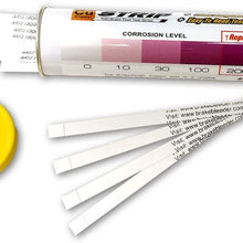 Phoenix Systems (3001-B) Brake Fluid Test Strips, 100 Test Strips Per Tube, BrakeStrip, FASCAR, Copper