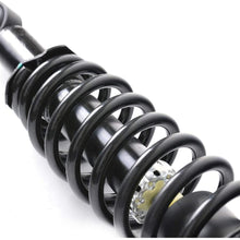 AOKAILI Rear Shock Absorber Struts & Spring