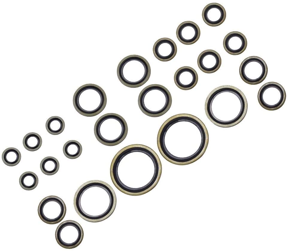 Aeloa 24pcs/Set Imperial Standard Copper Skeleton Oil Seals Assortments for Car
