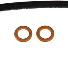 Dorman H380299 Hydraulic Brake Hose