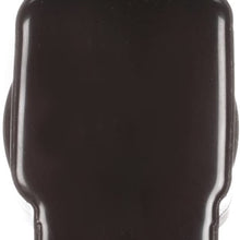 Delphi GN10648 Ignition Coil
