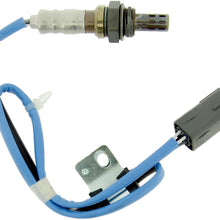NTK 24447 Oxygen Sensor