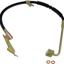 Dorman H381159 Hydraulic Brake Hose