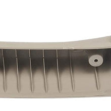 Dorman 97630 Passenger Side A-Pillar Grab Handle for Select Dodge Models