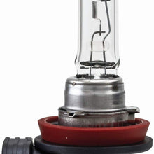 HELLA H11TB Standard-55W Standard Halogen H11 Bulbs, 12 V, 55W, 2 Pack