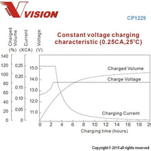 Vision CP1223F1 Battery