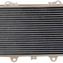 ALLOYWORKS Replacement Aluminum Radiator For Yamaha Quad Grizzly 660 YFM660F ATV 2002-2008