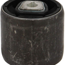 Rein Automotive AVB0631 Control Arm Bushing (Front Suspension Lower - Inner Rearward Position)