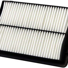 EcoGard XA10426 Premium Hyundai Air Filter