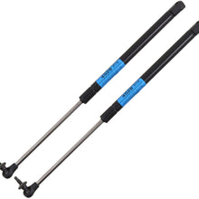 StrongArm 4528PR Jeep Grand Cherokee Glass Lift Support 1999-03, Pair Pack of 2 (Pair Pack of 2)