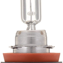 Bosch Automotive H11ST Light Bulb