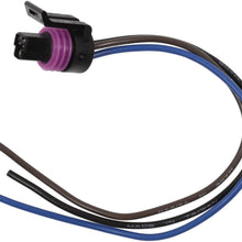 ACDelco PT2319 Professional Multi-Purpose Pigtail