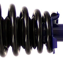 Monroe Shocks & Struts RoadMatic 181691R Suspension Strut and Coil Spring Assembly