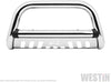 Westin Automotive Product 32-3920 Chrome Bull Bar, 1 Pack