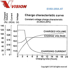 Vision EV8D-250A-AT Battery