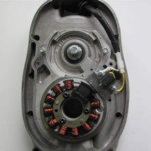 Powerdynamo MZ-B VAPE Ignition System Stator Compatible with BMW R50 R60 R69 20mm Crankshaft DC