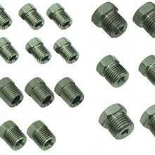 Inline Tube (D-3-2 Stainless Steel Inverted Flare Brake Line Fitting Set for 3/16" and 1/4" Tube