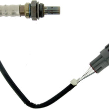 NTK 24453 Oxygen Sensor