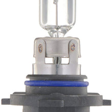 Bosch Automotive 9005ST Light Bulb