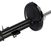 Rear Shock Struts Left & Right Pair Set for Toyota Corolla Prizm