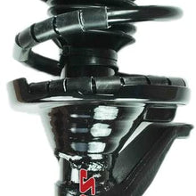 FCS 1332357L Complete Strut Assembly