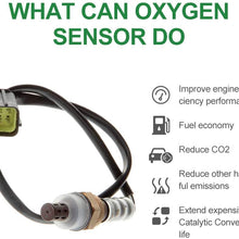 SCITOO O2 Oxygen Sensor Upstream Downstream SG1408 SG320 fit for Chevy Aveo Aveo5, for Hyundai Accent Tiburon, for Infiniti EX35 FX35 G25 M35 Q70 QX56, for Kia Rio Sephia Sportage, for Mazda 626 MX-6