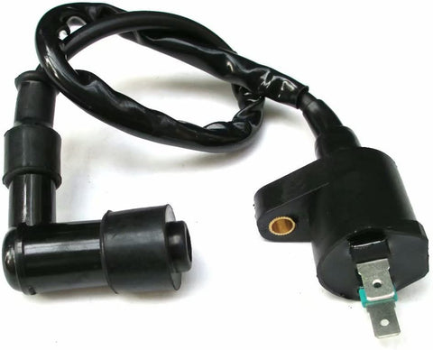 Ignition Coil For Honda TRX 300 FourTrax 1988-1995 1996 1997 1998-1999 2000