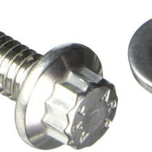 ARP 4007503 Stainless 300 12-Point Valve Cover Bolt Kit
