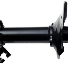 Gabriel G56784 Ultra Strut, 1 Pack