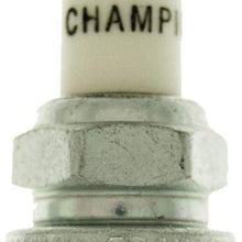 Champion Spark Plug 71S White Spark Plug Shop Pack, 24 Pack