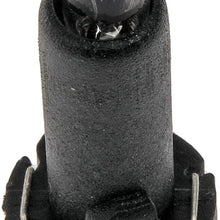 Dorman 639-037 Interior Bulb