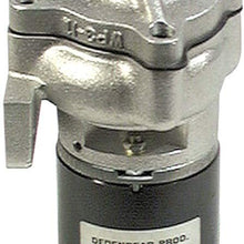 Dedenbear Products WP3 Remote Electric Water Pump