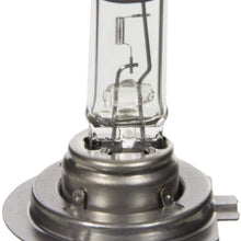 Wagner Lighting BP1255H7 Halogen Capsule - Card of 1