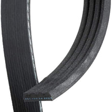 ACDelco 4K488 Professional V-Ribbed Serpentine Belt