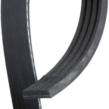 ACDelco 4K245 Professional V-Ribbed Serpentine Belt