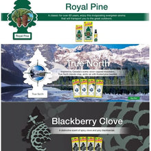 Little Trees Car Air Freshener Masculine Super Variety Pack 12 Count