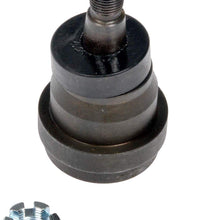 Dorman - OE Solutions 535-957 Suspension Ball Joint
