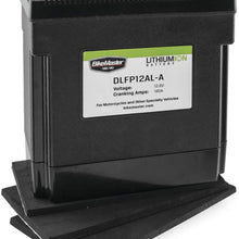 BikeMaster Lithium Ion Battery DLFP-12AL-A