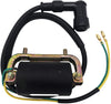 Ignition Coil with Cap Replacement for 30530-102-780 Fit for Honda CT90 CM91 Trail 90 1966-1979