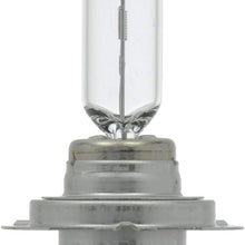 SYLVANIA - H7 Basic - Halogen Bulb for Headlight, Fog, Daytime Running Lights, and Cornering Applications (Contains 1 Bulb)