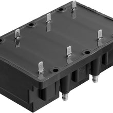 Delphi GN10139 Ignition Coil