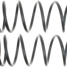ACDelco 45H3153 Professional Rear Coil Spring Set