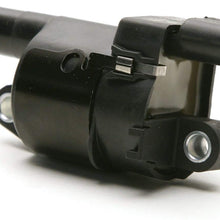 Delphi GN10165 Ignition Coil