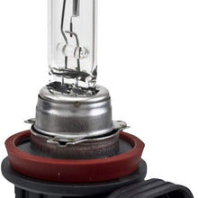 HELLA (H11) 12V Bulb