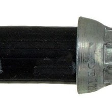Dorman H381103 Hydraulic Brake Hose