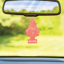 Little Trees Car Air Freshener | Hanging Tree Provides Long Lasting Scent for Auto or Home | Coral Reef, 6-Packs (4 Count)
