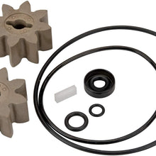 GPI Overhaul Kit for EZ-8 Fuel Transfer Pump Manufactured on or Before Jan. 8, 2016, Motor Shaft Key, Two Gears, and Replacement Seals (GPI Genuine Part 13750005)